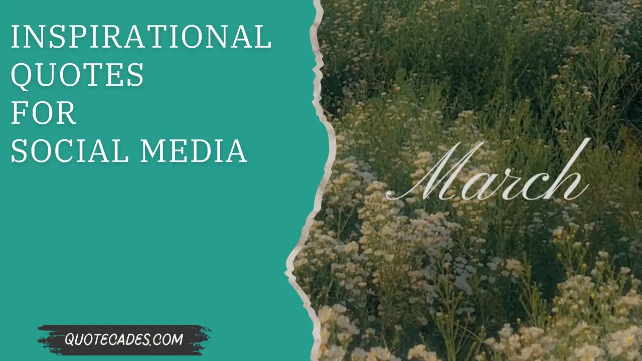 Inspirational Quotes for Social Media 