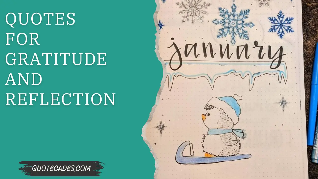 Quotes for Gratitude and Reflection