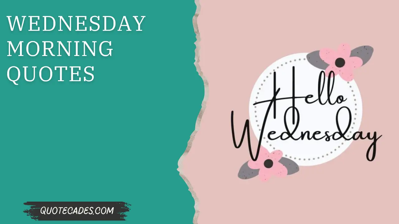 Wednesday Morning Quotes