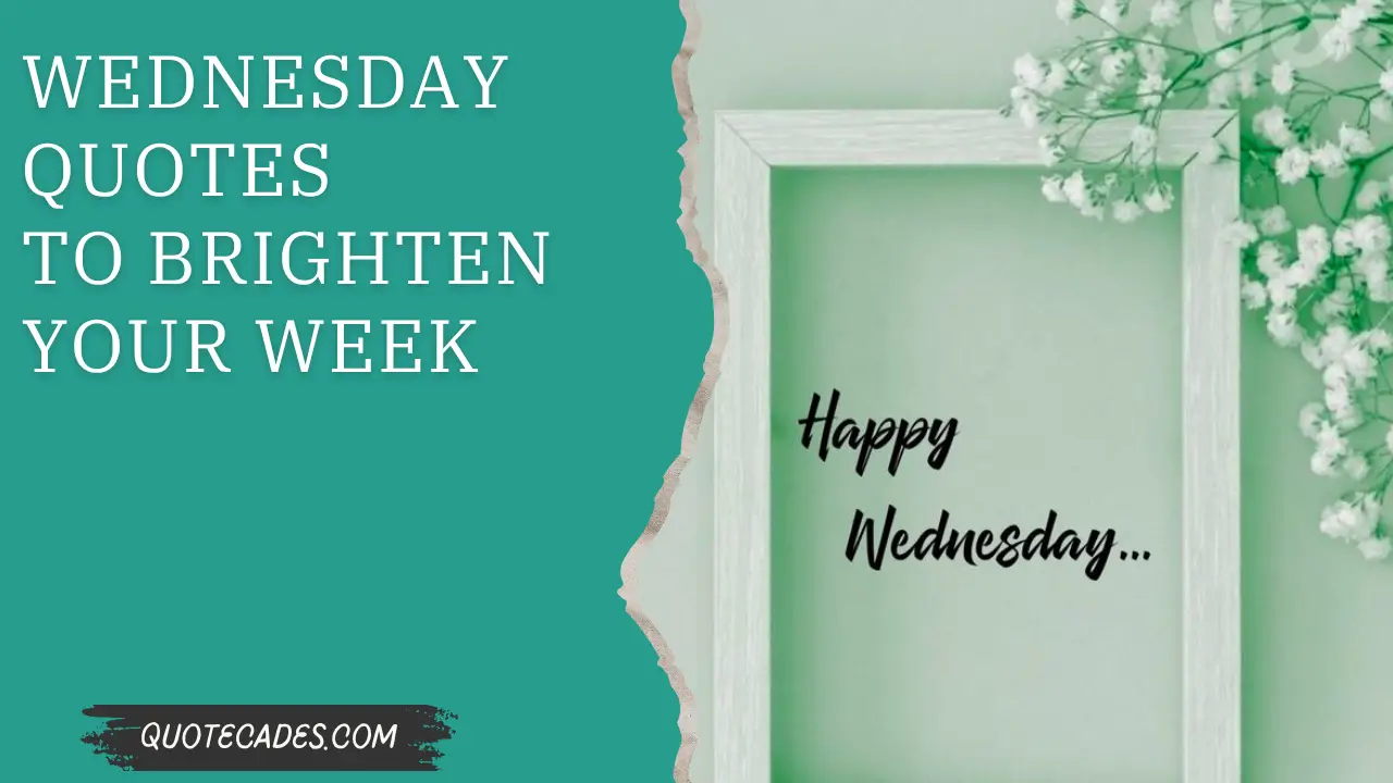  Wednesday Quotes To Brighten Your Week
