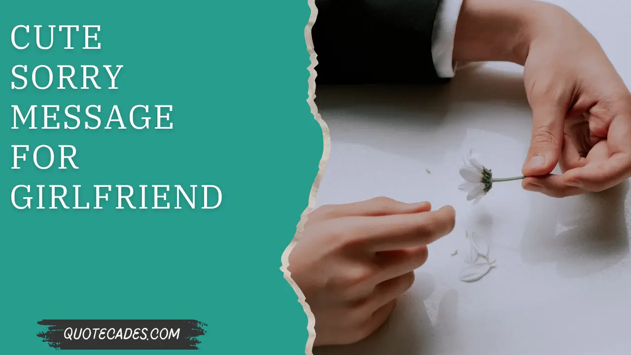 Cute Sorry Message for Girlfriend